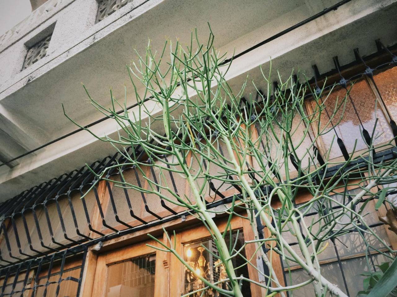 Xiaobei Home2 타이난 외부 사진